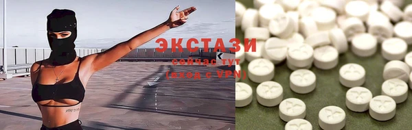 ECSTASY Богданович